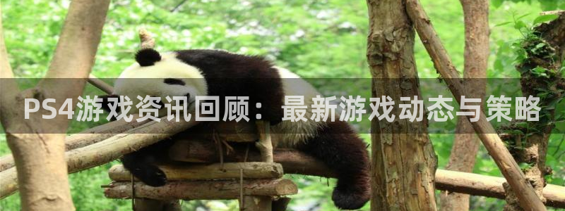 长征娱乐2登录：PS4游戏资讯回顾：最新游戏动态与策略