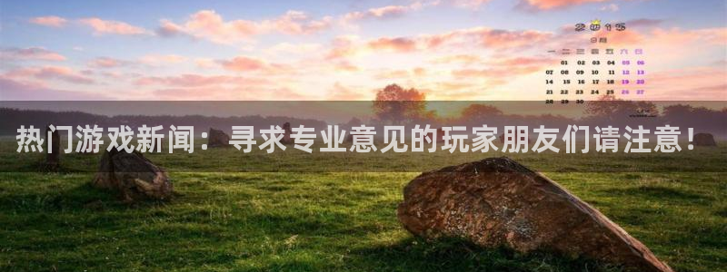 沐春长征娱乐：热门游戏新闻：寻求专业意见的玩家朋友们请注意！