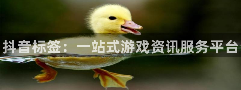 长征娱乐咨询：抖音标签：一站式游戏资讯服务平台