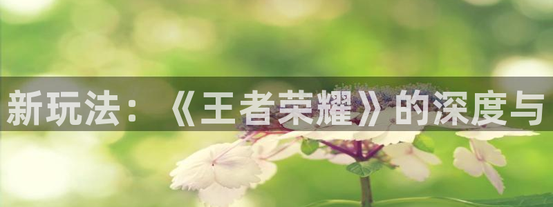 长征娱乐官网登录：新玩法：《王者荣耀》的深度与