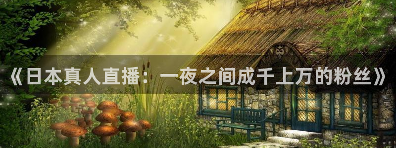 833篮球直播比赛在线观看
