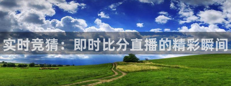 833足球直播在线直播