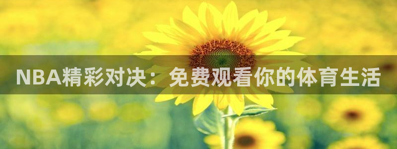 833nba直播免费高清直播：NBA精彩对决：免费观看你的体育生活