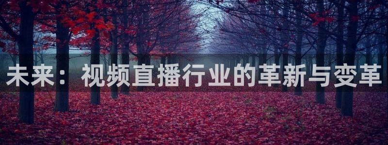 833篮球直播比赛在线观看