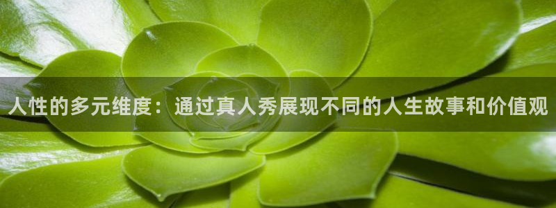 833直播足球比赛官网：人性的多元维度：通过真人秀展现不同的人生故事和价值观