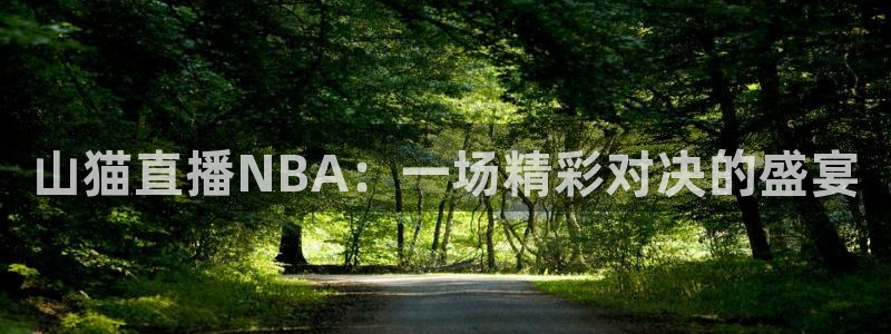 833直播nba免费观看高清直播：山猫直播NBA：一场精彩对决的盛宴
