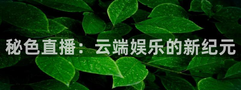 833篮球直播在线直播：秘色直播：云端娱乐的新纪元