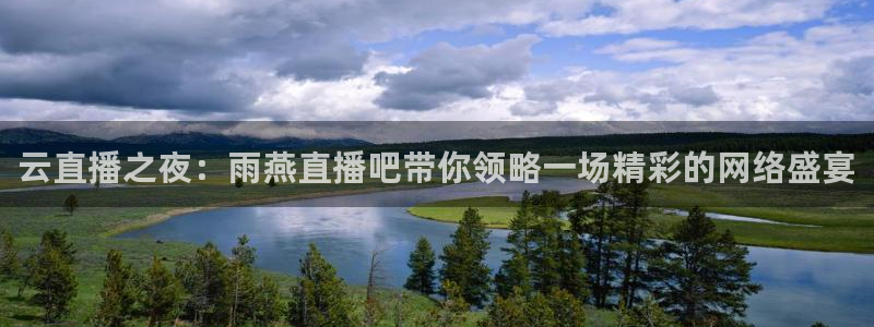 833体育在线直播：云直播之夜：雨燕直播吧带你领略一场精彩的网络盛宴