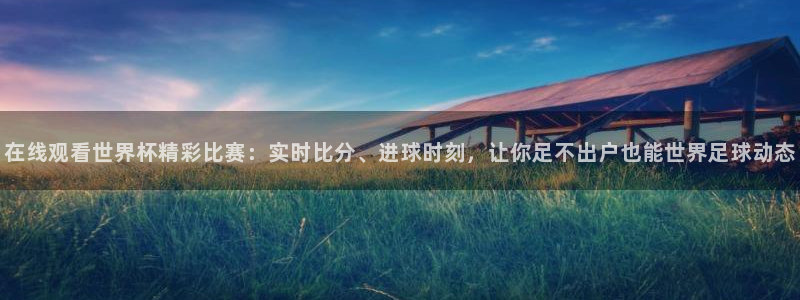 833直播比赛免费观看入口：在线观看世界杯精彩比赛：实时比分、进球时刻，让你足不出户也能世界足球动态