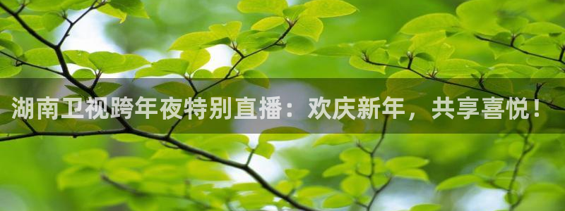 833免费看球直播：湖南卫视跨年夜特别直播：欢庆新年，共享喜悦！