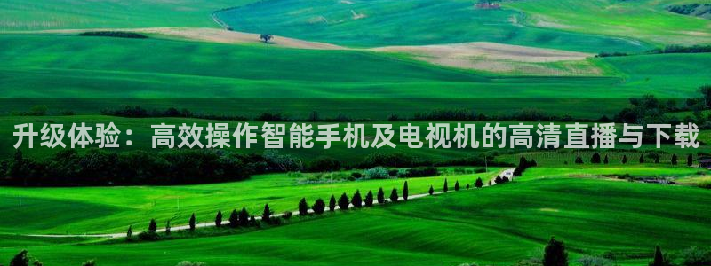 833足球直播网：升级体验：高效操作智能手机及电视机的高清直播与下载