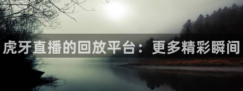球帝833直播入口：虎牙直播的回放平台：更多精彩瞬间