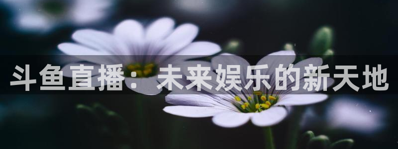 833直播体育免费观看：斗鱼直播：未来娱乐的新天地