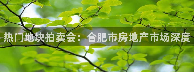 833体育免费直播：热门地块拍卖会：合肥市房地产市场深度