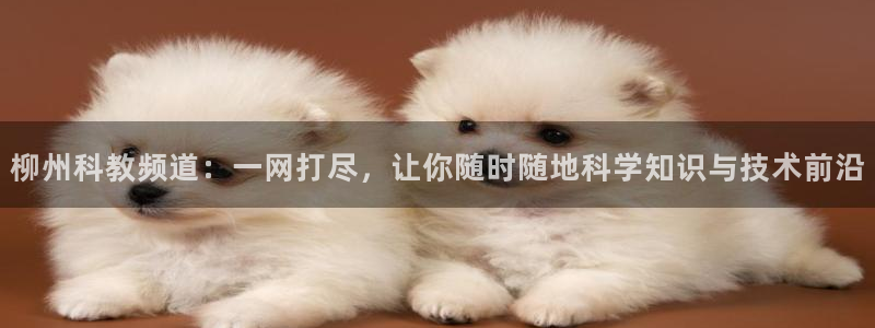 3833tv直播：柳州科教频道：一网打尽，让你随时随地科学知识与技术前沿