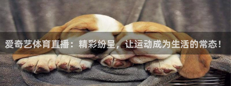 833nba直播免费高清直播：爱奇艺体育直播：精彩纷呈，让运动成为生活的常态！