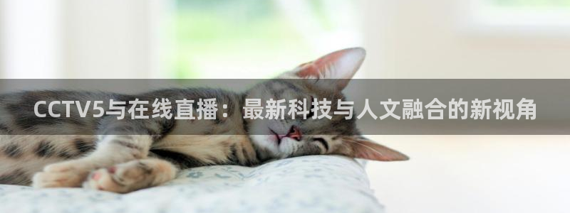 833体育：CCTV5与在线直播：最新科技与人文融合的新视角