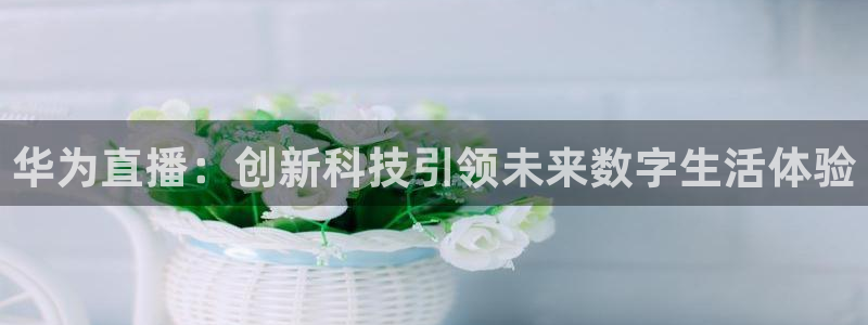 833直播足球比赛官网：华为直播：创新科技引领未来数字生活体验